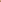 TROPICAL ORANGE - eleshiaofficial